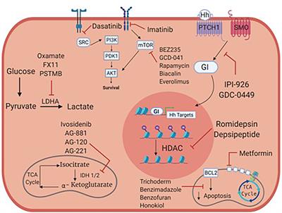 Metabolic Pathways and Targets in Chondrosarcoma